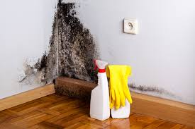 Best Commercial Mold Inspection in Wade Hampton, SC